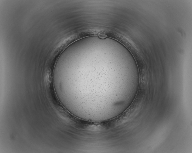 X0000112960119200909101640