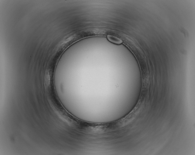 X0000112960120200909101640