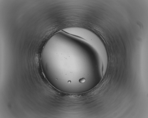 X0000112960121200909101640