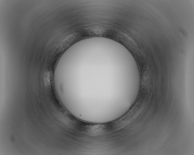 X0000112960122200909101640