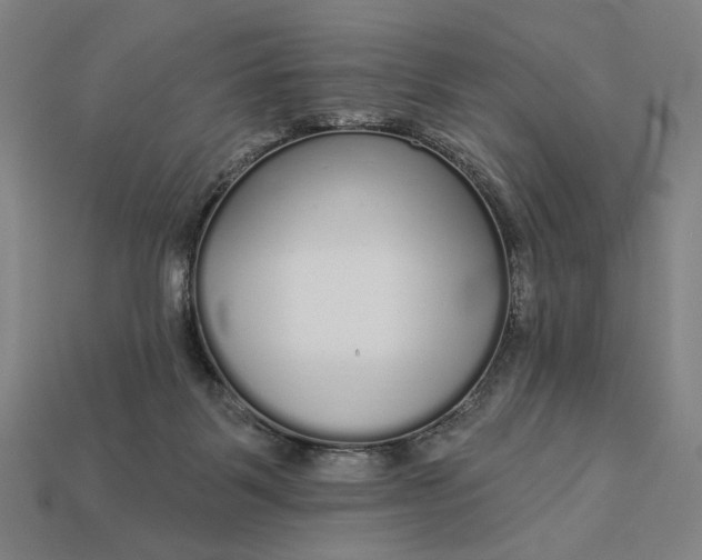 X0000112960123200909101640