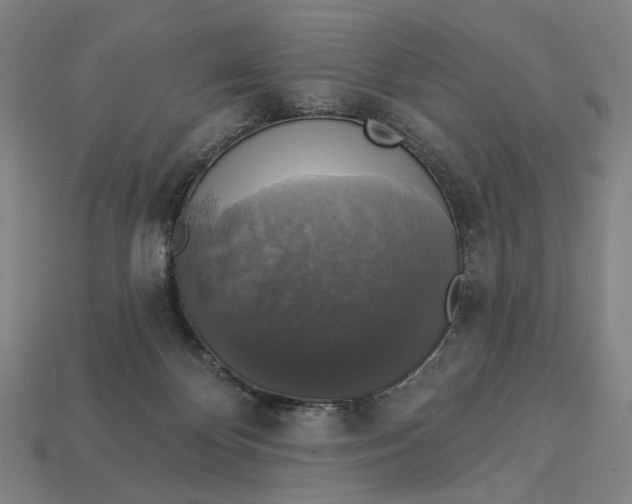 X0000112960124200909101640