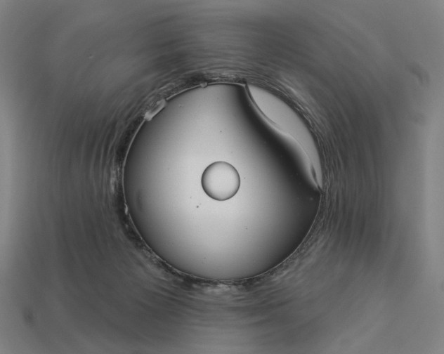 X0000112960125200909101640