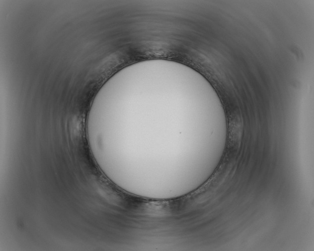 X0000112960126200909101640