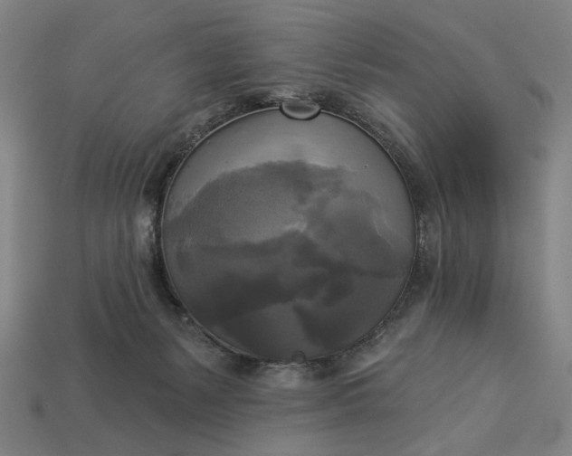 X0000112960127200909101640