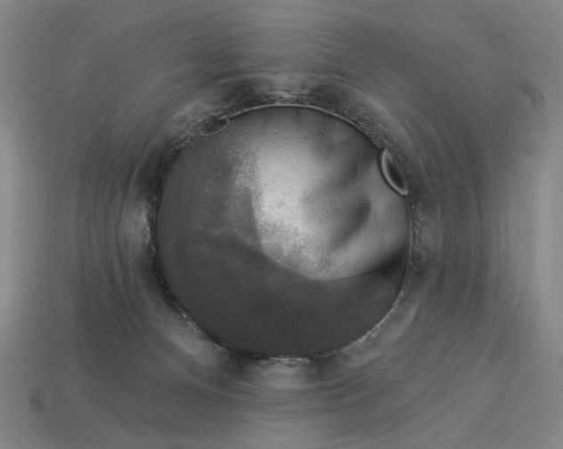 X0000112960128200909101640