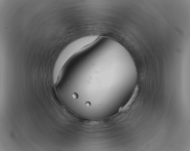 X0000112960129200909101640