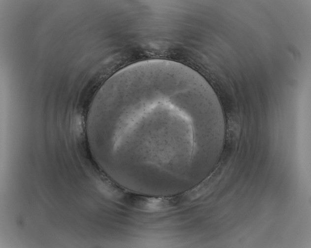 X0000112960130200909101640