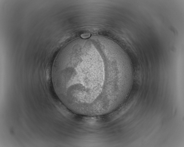 X0000112960131200909101640