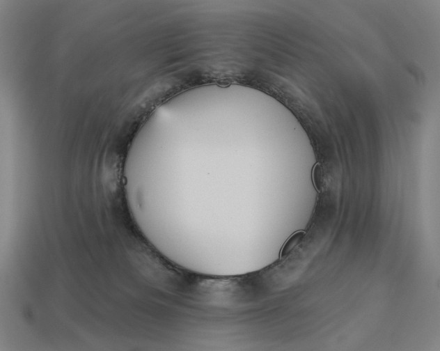 X0000112960133200909101640