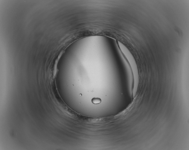 X0000112960136200909101640