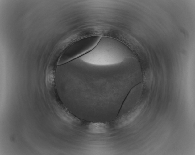 X0000112960137200909101640