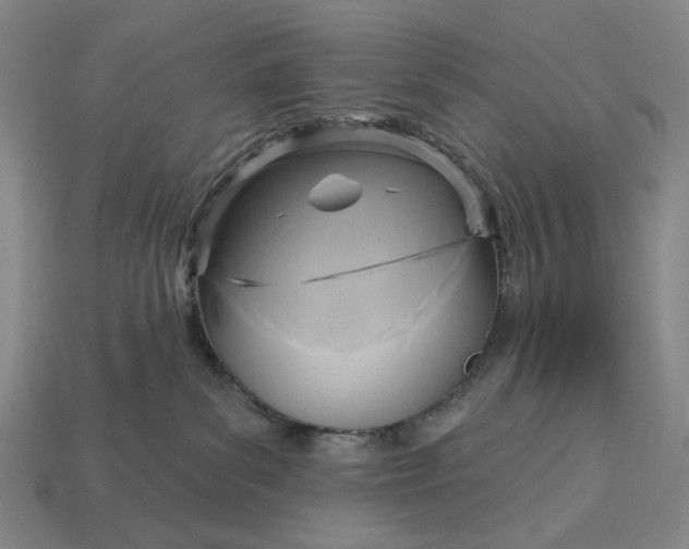 X0000112960139200909101640