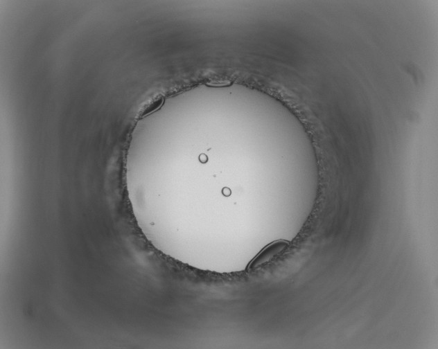 X0000112960144200909101640