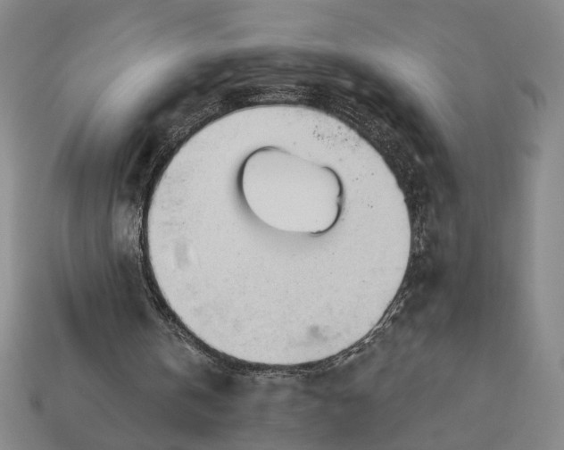 X0000112960146200909101639