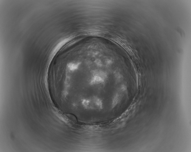 X0000112960147200909101639