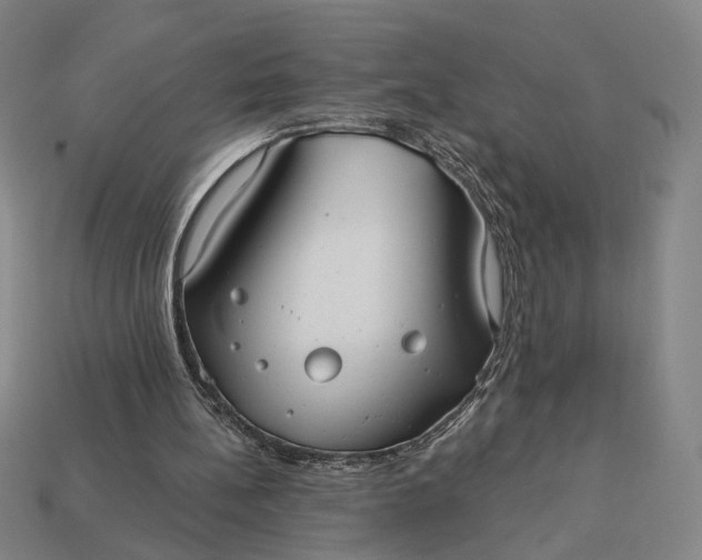 X0000112960148200909101639