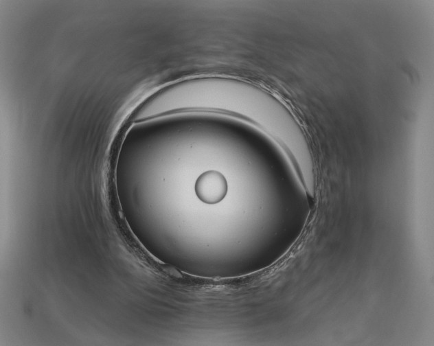 X0000112960152200909101639