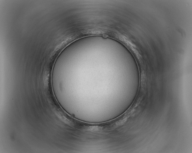 X0000112960153200909101639