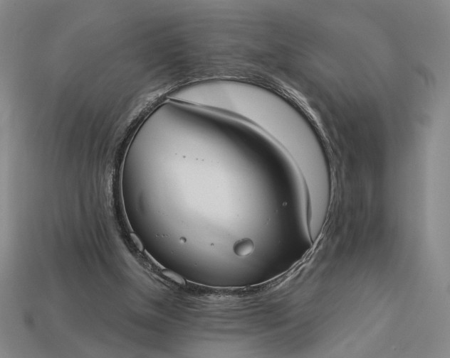 X0000112960154200909101639