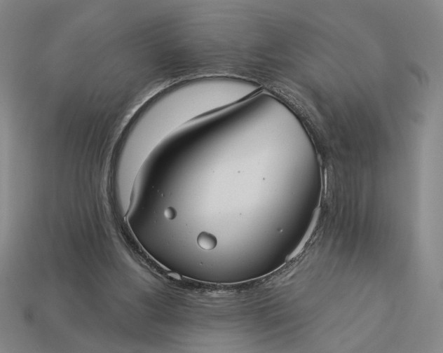 X0000112960156200909101639