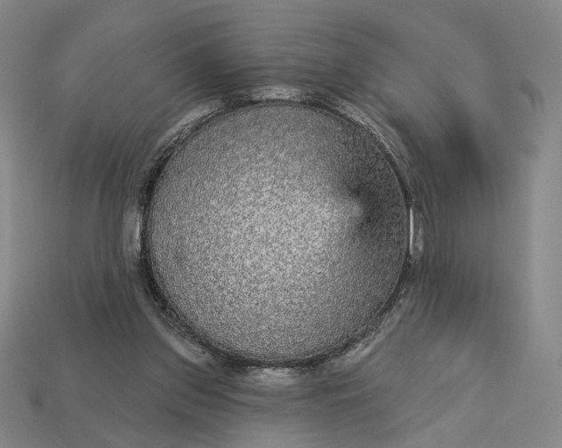 X0000112960157200909101639