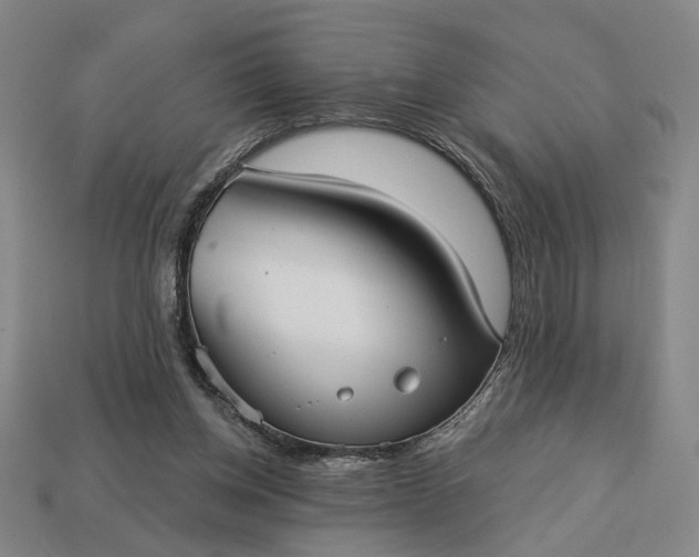 X0000112960158200909101639