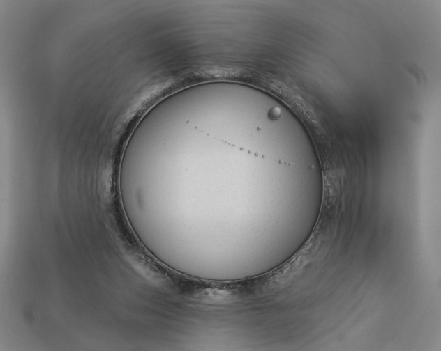 X0000112960159200909101639