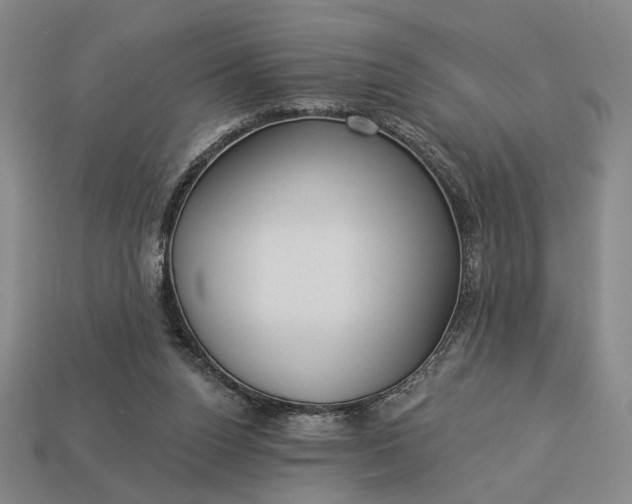 X0000112960160200909101639