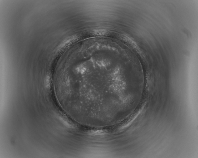 X0000112960161200909101639