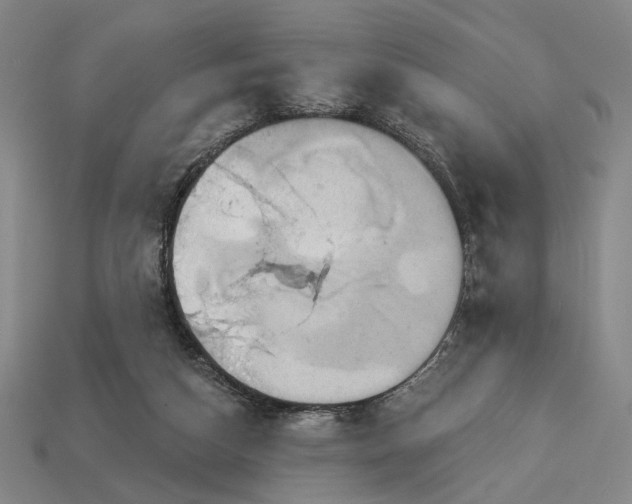 X0000112960162200909101640