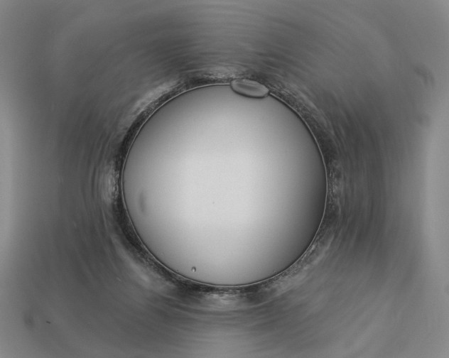 X0000112960164200909101640