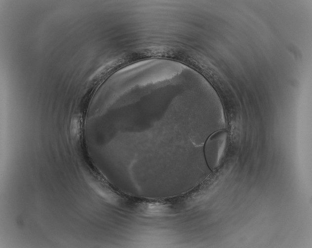 X0000112960165200909101640