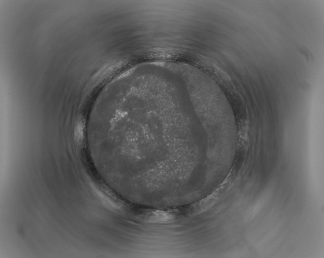 X0000112960166200909101640