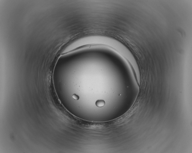 X0000112960168200909101640