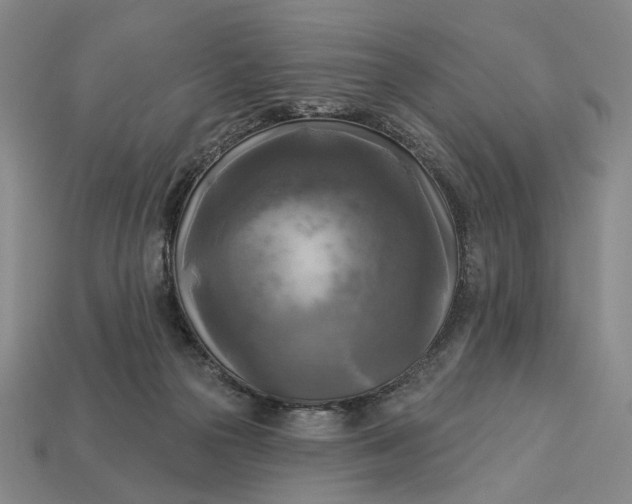 X0000112960169200909101640