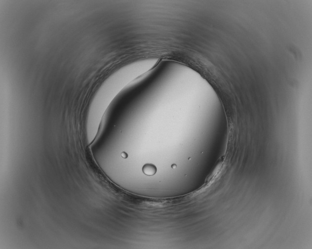 X0000112960170200909101640