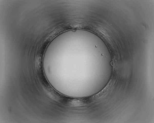 X0000112960171200909101640