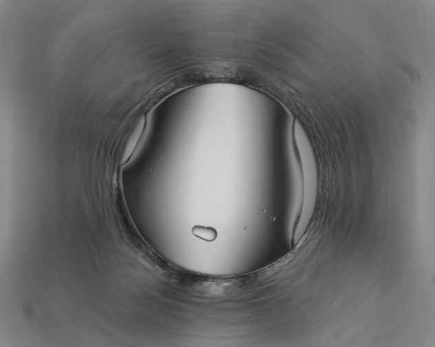 X0000112960172200909101640