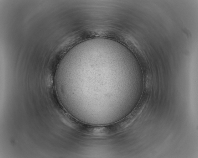 X0000112960173200909101640