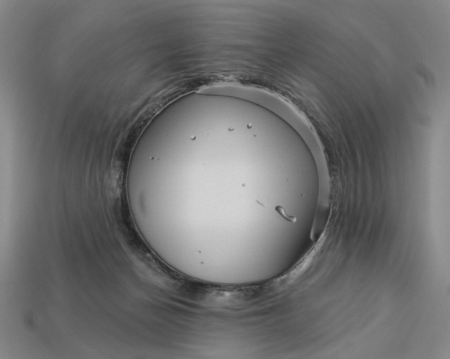 X0000112960174200909101640