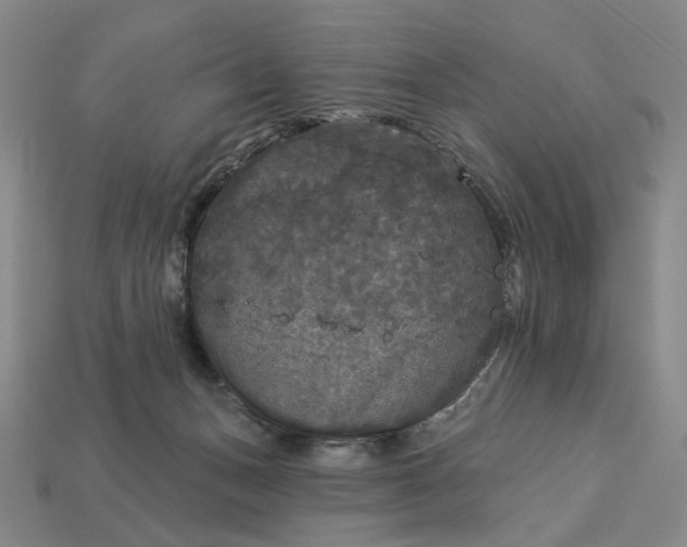 X0000112960175200909101640