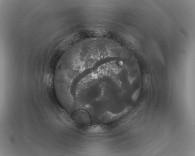 X0000112960177200909101640