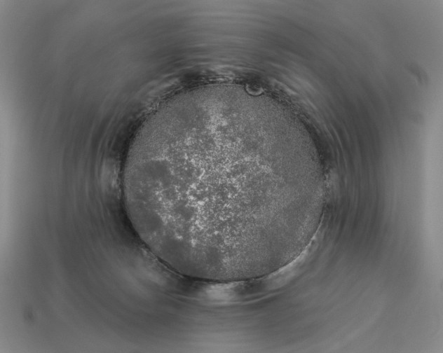 X0000112960178200909101640