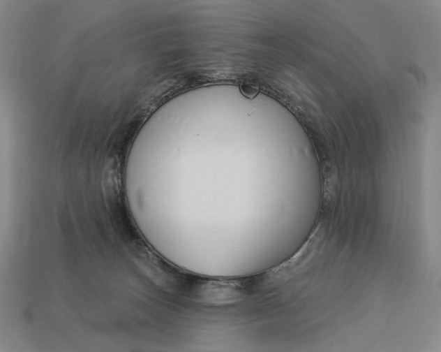 X0000112960179200909101640