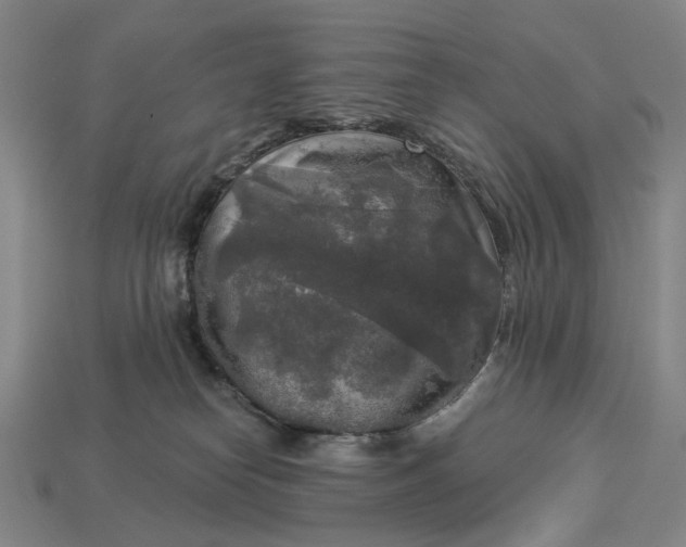 X0000112960182200909101640