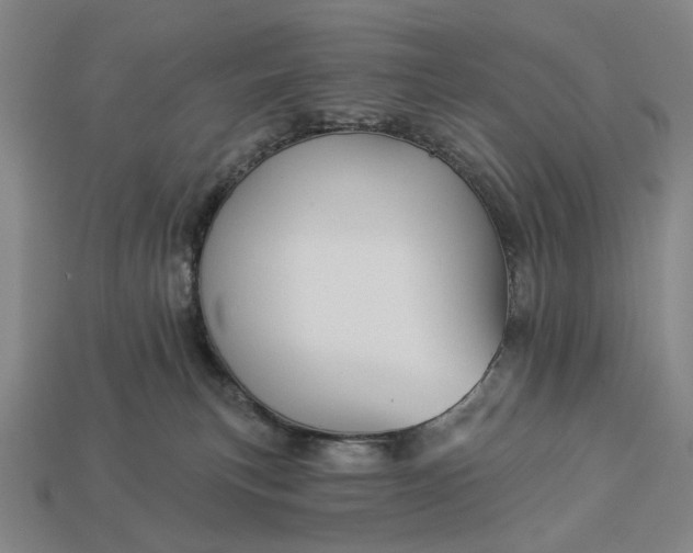 X0000112960183200909101640