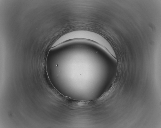 X0000112960184200909101640