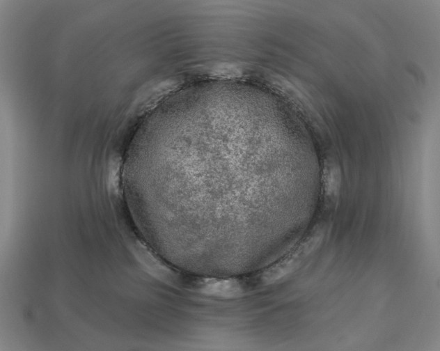 X0000112960185200909101640