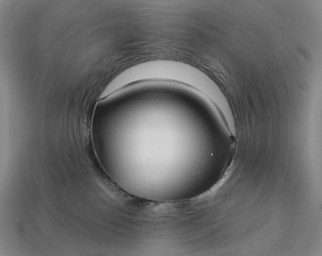 X0000112960186200909101640